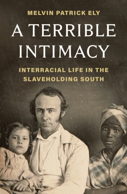 Melvin Patrick Ely - Terrible Intimacy, E-bok
