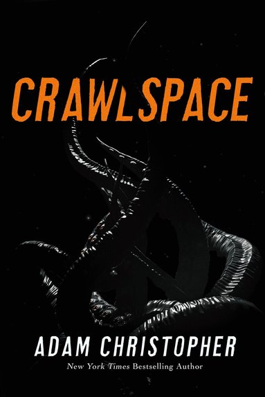 Crawlspace