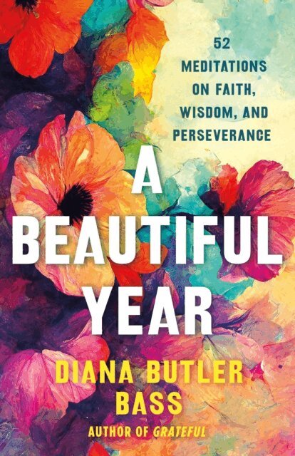 Diana Butler Bass - Beautiful Year, E-bok