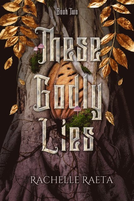 Rachelle Raeta - These Godly Lies, E-bok