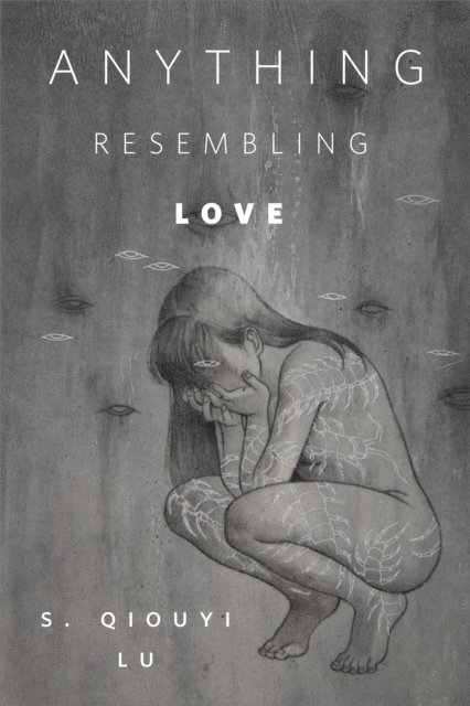 S. Qiouyi Lu - Anything Resembling Love, E-bok