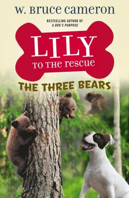 W. Bruce Cameron - Lily to the Rescue: The Three Bears, E-bok