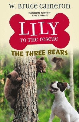 W. Bruce Cameron - Lily to the Rescue: The Three Bears, Häftad. Tillgänglighet: Tillfälligt slut