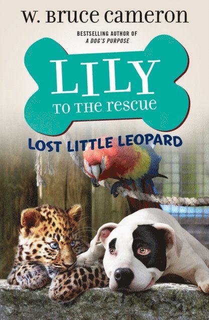 W. Bruce Cameron - Lily to the Rescue: Lost Little Leopard, E-bok