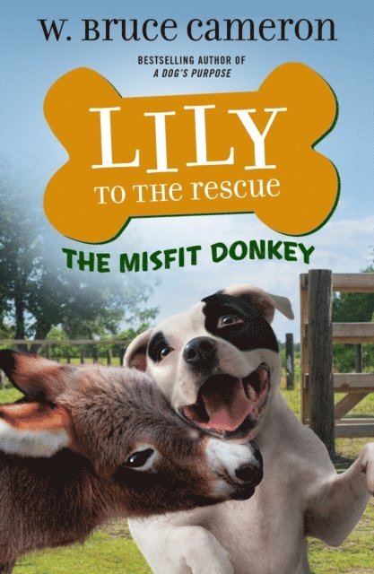 W. Bruce Cameron - Lily to the Rescue: The Misfit Donkey, E-bok