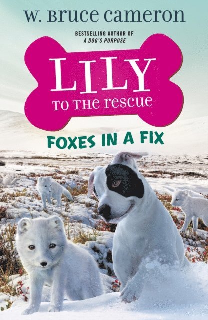 W. Bruce Cameron - Lily to the Rescue: Foxes in a Fix, E-bok