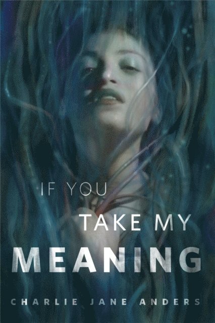 Charlie Jane Anders - If You Take My Meaning, E-bok