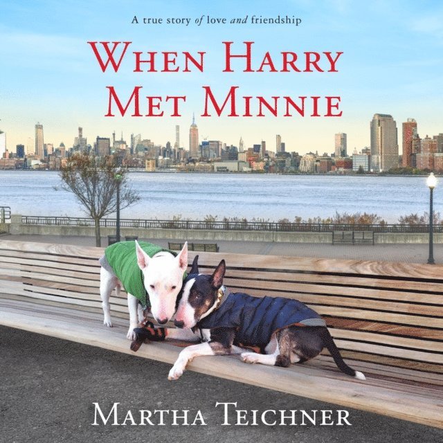 Martha Teichner - When Harry Met Minnie, Ljudbok. Tillgänglighet: Lägg i varukorg