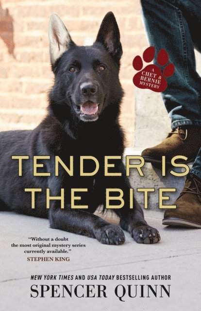 Spencer Quinn - Tender Is the Bite, E-bok