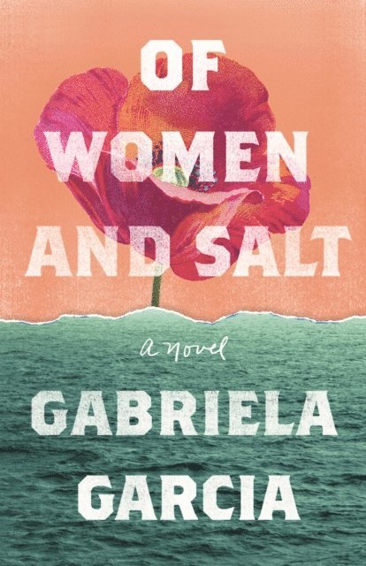 Gabriela Garcia - Of Women and Salt, E-bok