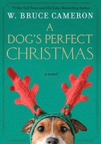 Dog's Perfect Christmas