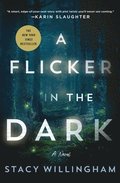 A Flicker in the Dark