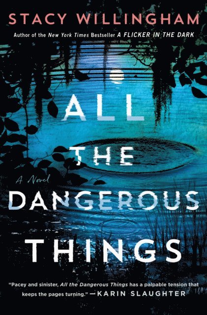 Stacy Willingham - All the Dangerous Things, E-bok