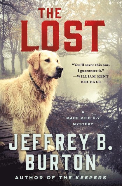 Jeffrey B. Burton - Lost, E-bok