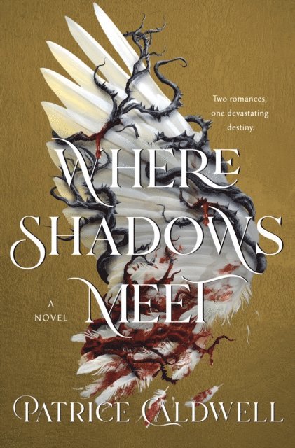 Patrice Caldwell - Where Shadows Meet, E-bok