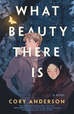 Cory Anderson - What Beauty There Is, Häftad