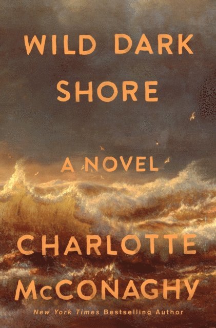 Charlotte McConaghy - Wild Dark Shore, E-bok
