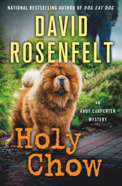 David Rosenfelt - Holy Chow, E-bok
