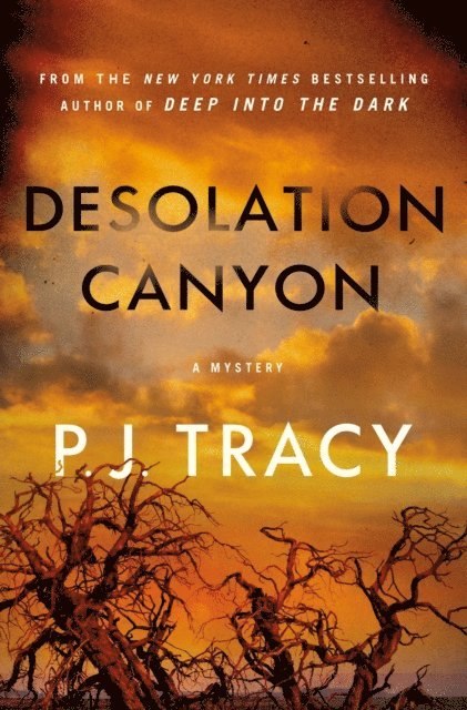 P. J. Tracy - Desolation Canyon, E-bok