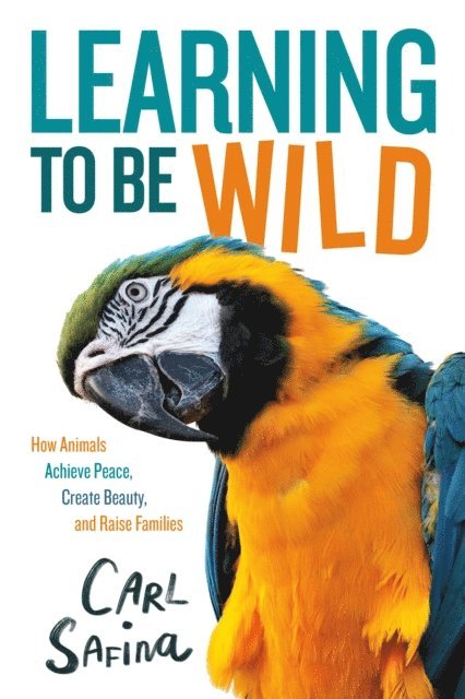 Carl Safina - Learning to Be Wild (A Young Reader's Adaptation), E-bok