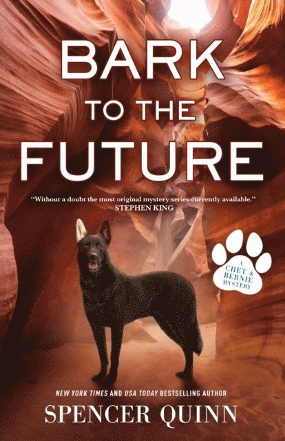 Spencer Quinn - Bark to the Future, E-bok