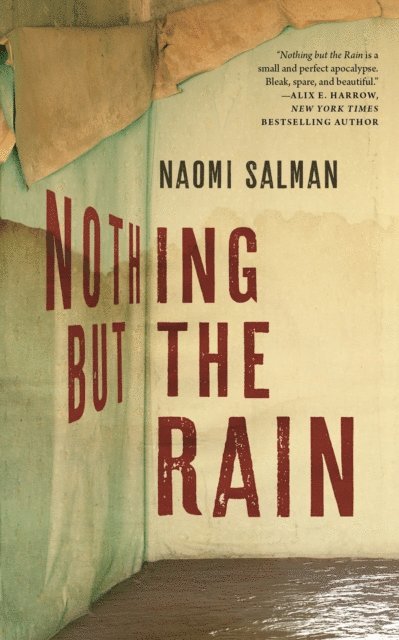 Naomi Salman - Nothing but the Rain, E-bok