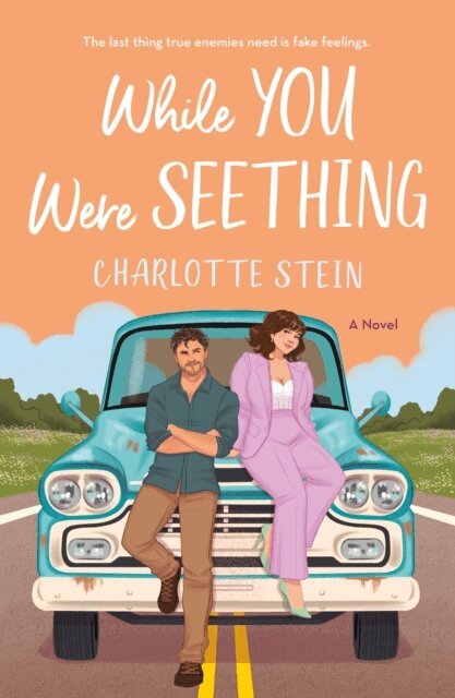 Charlotte Stein - While You Were Seething, E-bok