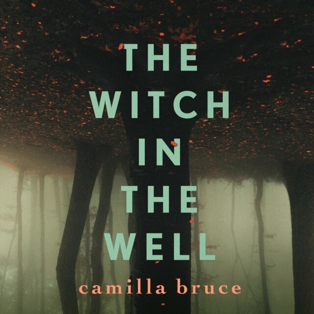 Camilla Bruce - Witch In The Well, Ljudbok