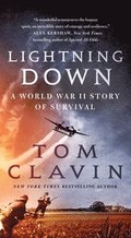 Lightning Down