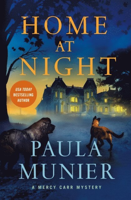 Paula Munier - Home at Night, E-bok