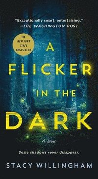 Flicker In The Dark