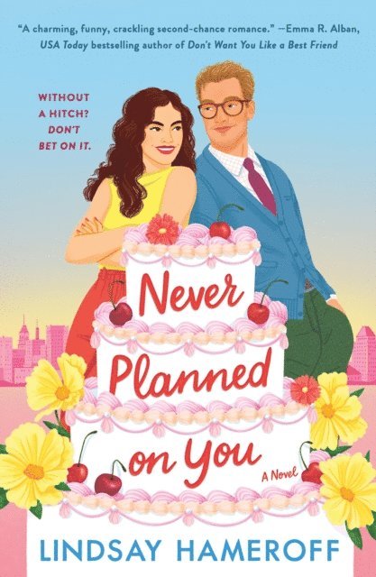 Lindsay Hameroff - Never Planned on You, E-bok