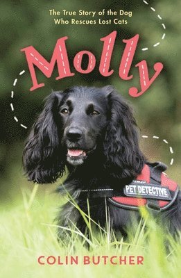 Colin Butcher - Molly: The True Story of the Dog Who Rescues Lost Cats, Häftad