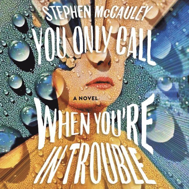 Stephen McCauley - You Only Call When You're in Trouble, Ljudbok