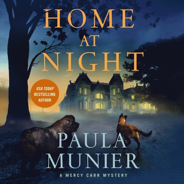 Paula Munier - Home at Night, Ljudbok