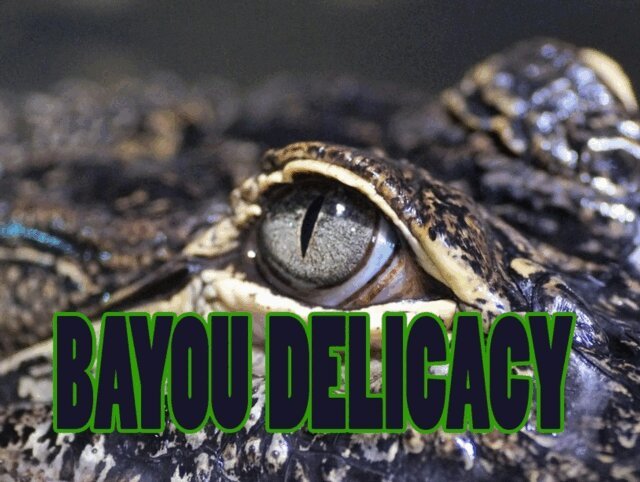 Nicole Jones - BAYOU DELICACY, E-bok