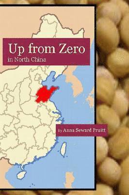 Anna Seward Pruitt - Up from Zero, Häftad