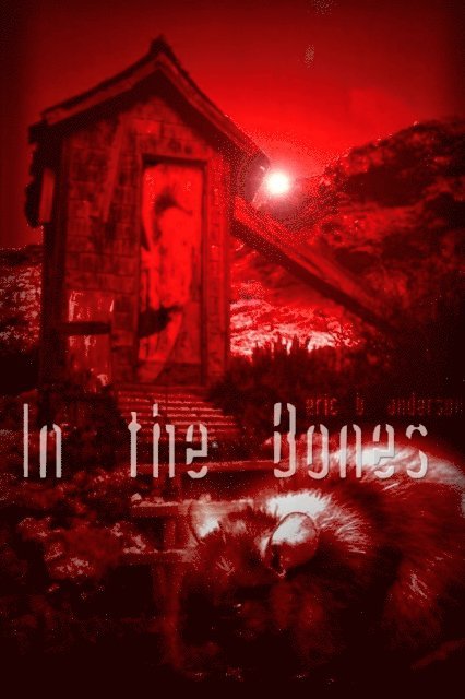 Eric Anderson - In the Bones, E-bok