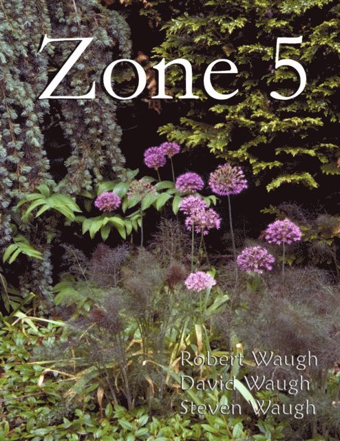 Steven Waugh, David Waugh, Robert Waugh - Zone 5, E-bok
