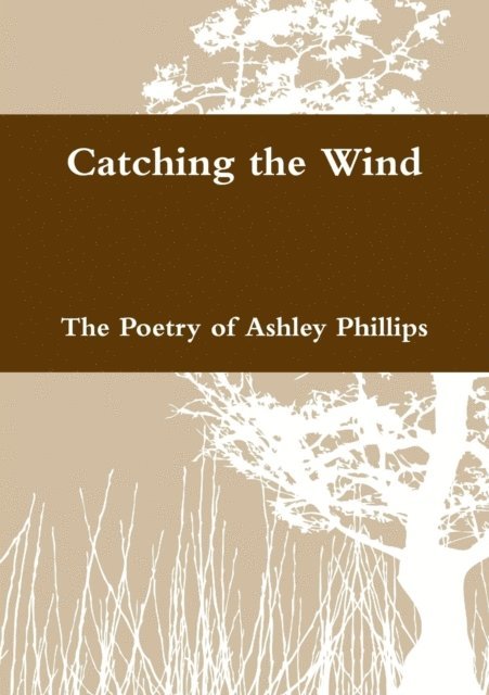 Ashley Phillips - Catching the Wind, E-bok
