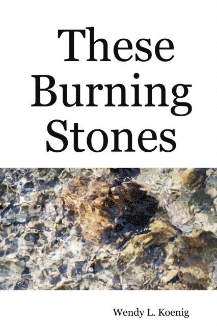 Wendy L. Koenig - These Burning Stones, E-bok