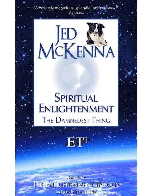 Jed McKenna - Spiritual Enlightenment: The Damnedest Thing ET1, E-bok