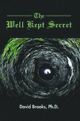 Ph.D. David Brooks - Well Kept Secret, Häftad