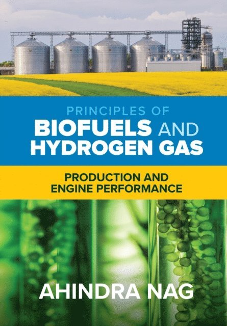 Ahindra Nag - Principles of Biofuels and Hydrogen Gas: Production and Engine Performance, E-bok