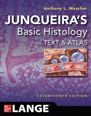 Anthony L. Mescher - Junqueira's Basic Histology: Text and Atlas, Seventeenth Edition, Häftad