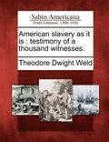 American Slavery as It Is
