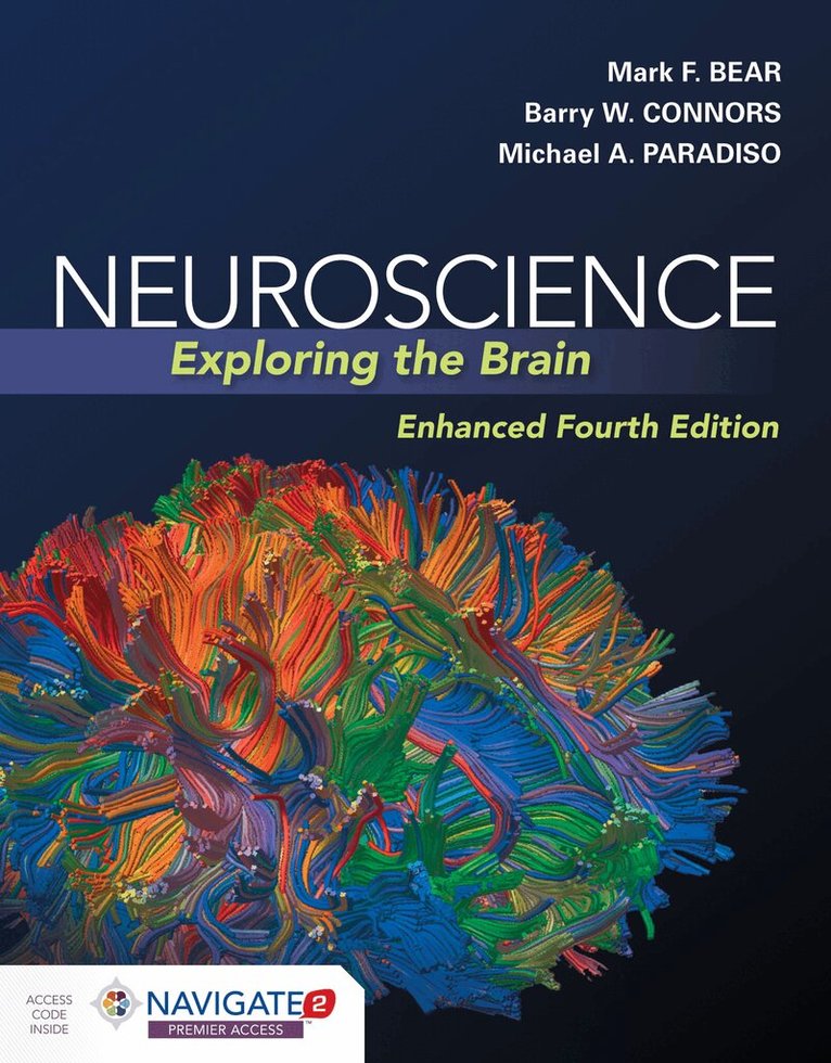Mark Bear, Barry Connors, Michael A. Paradiso - Neuroscience: Exploring the Brain, Enhanced Edition, Häftad