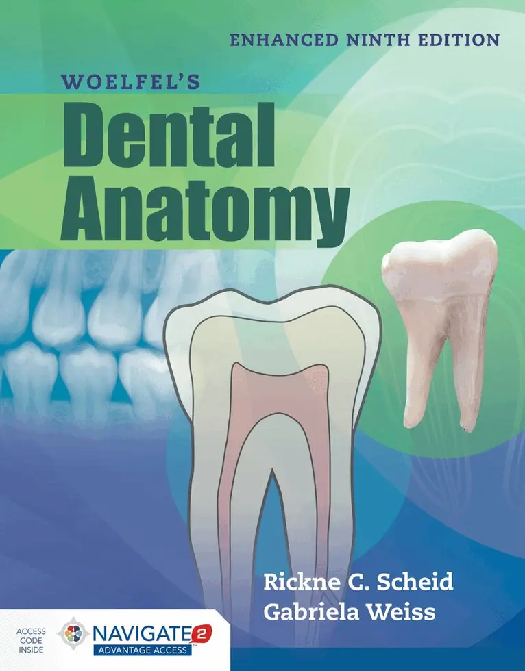 Rickne C. Scheid, Gabriela Weiss - Woelfel's Dental Anatomy, Enhanced Edition, Häftad. Tillgänglighet: Lägg i varukorg