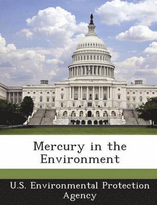 Mercury in the Environment, Häftad