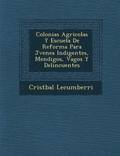Colonias Agricolas Y Escuela De Reforma Para J?venes Indigentes, Mendigos, Vagos Y Delincuentes